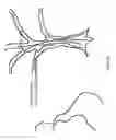 Fig. 84 - Head-worn therapy device