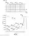 Fig. 42 - MULTIPLE CATION CANCER THERAPY APPARATUS AND METHOD OF USE THEREOF