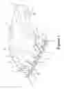 Fig. 02 - DEVICE AND METHODS FOR TOPICAL APPLICATION OF FLUIDS TO SKIN