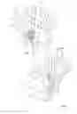Fig. 05 - Back pressure flap valve arrangement and the use thereof
