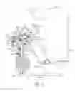 Fig. 19 - Exercise machine with adjustable stride