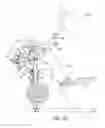 Fig. 23 - Exercise machine with adjustable stride