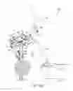 Fig. 24 - Exercise machine with adjustable stride