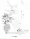 Fig. 25 - Exercise machine with adjustable stride