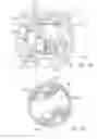 Fig. 31 - Exercise machine with adjustable stride