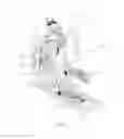 Fig. 02 - STAIR STEPPERS