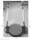 Fig. 02 - Two-In-One Exercise Assembly