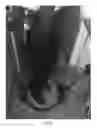 Fig. 08 - Two-In-One Exercise Assembly