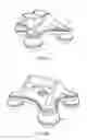 Fig. 07 - Rolling, multi-directional fitness device