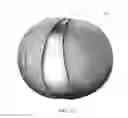Fig. 09 - Graphene core for a golf ball