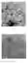 Fig. 02 - Low-platinum catalyst based on nitride nanoparticles and preparation method thereof