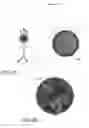 Fig. 08 - In vitro epithelial models comprising lamina propria-derived cells