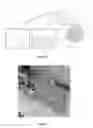 Fig. 06 - Microfluidic device