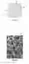 Fig. 02 - Fabrication Method Using Foam Elements, and Structures Fabricated Using The Method