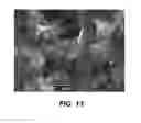 Fig. 09 - Cutting elements and methods for fabricating diamond compacts and cutting elements with functionalized nanoparticles