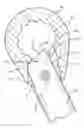 Fig. 01 - BOX WRENCH FOR STRIPPED NUTS AND BOLTS