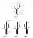 Fig. 02 - Stretch blow molding process