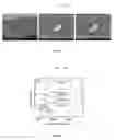 Fig. 09 - Layer-by-layer assembly of graphene oxide membranes via electrostatic interaction and eludication of water and solute transport mechanisms