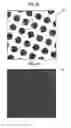 Fig. 04 - Flexographic printing plate