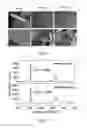 Fig. 07 - Method of producing graphene