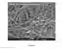 Fig. 07 - HIGHLY PURIFIED CARBON NANOTUBES AND METHOD OF THEIR PREPARATION