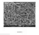 Fig. 09 - HIGHLY PURIFIED CARBON NANOTUBES AND METHOD OF THEIR PREPARATION