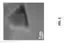 Fig. 04 - Template-assisted synthesis of 2D nanosheets using nanoparticle templates