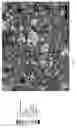 Fig. 09 - Microstructured carbonatable calcium silicate clinkers and methods thereof