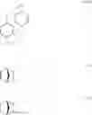 Fig. 08 - Method for the homogeneous catalytic reductive amination of carbonyl compounds