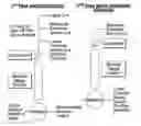 Fig. 01 - PROCESSES FOR THE PREPARATION OF PESTICIDAL COMPOUNDS