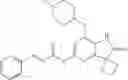 Fig. 348 - Spiro[cyclobutane-1,3′-indolin]-2′-one derivatives as bromodomain inhibitors