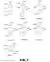 Fig. 02 - Disubstituted triazole analogs