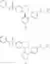Fig. 252 - Sulfonamide compounds as voltage-gated sodium channel modulators
