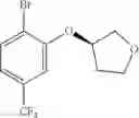 Fig. 90 - Sulfonamide compounds as voltage-gated sodium channel modulators