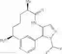 Fig. 162 - Pyrimidinones as factor XIa inhibitors