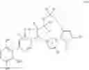 Fig. 43 - Pyrimidinones as factor XIa inhibitors