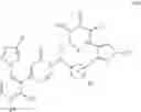 Fig. 613 - Pyrimidinones as factor XIa inhibitors