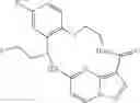 Fig. 79 - Chiral diaryl macrocycles as modulators of protein kinases