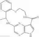 Fig. 89 - Chiral diaryl macrocycles as modulators of protein kinases
