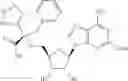 Fig. 136 - Ectonucleotidase inhibitors and methods of use thereof