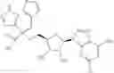 Fig. 216 - Ectonucleotidase inhibitors and methods of use thereof
