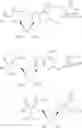 Fig. 331 - Ectonucleotidase inhibitors and methods of use thereof
