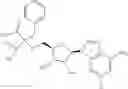 Fig. 445 - Ectonucleotidase inhibitors and methods of use thereof