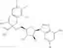 Fig. 484 - Ectonucleotidase inhibitors and methods of use thereof