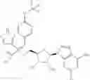 Fig. 552 - Ectonucleotidase inhibitors and methods of use thereof