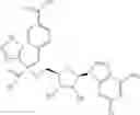 Fig. 554 - Ectonucleotidase inhibitors and methods of use thereof