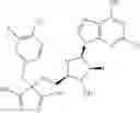 Fig. 613 - Ectonucleotidase inhibitors and methods of use thereof
