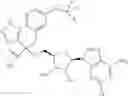 Fig. 656 - Ectonucleotidase inhibitors and methods of use thereof