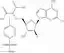 Fig. 746 - Ectonucleotidase inhibitors and methods of use thereof