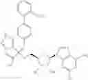 Fig. 855 - Ectonucleotidase inhibitors and methods of use thereof